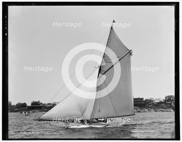 Saracen, between 1888 and 1899. Creator: Unknown.
