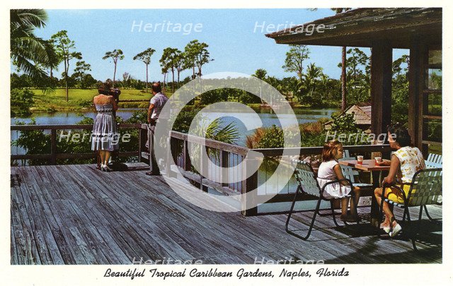 Beautiful Tropical Caribbean Gardens, Naples, Florida, USA, 1962. Artist: Unknown