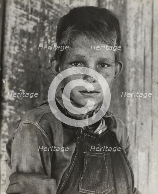 Twelve year old son of a cotton sharecropper near Cleveland, Mississippi, 1937. Creator: Dorothea Lange.