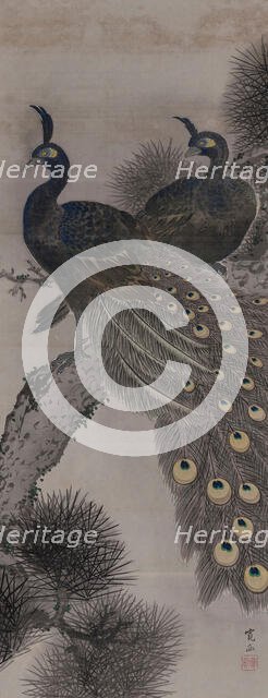 A pair of peacocks on a pine tree, 19th century. Creator: Kanpo; Araki (1831-1915).