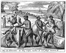 Khoikhois breaking-in oxen, South Africa, 18th century (1931). Artist: Unknown