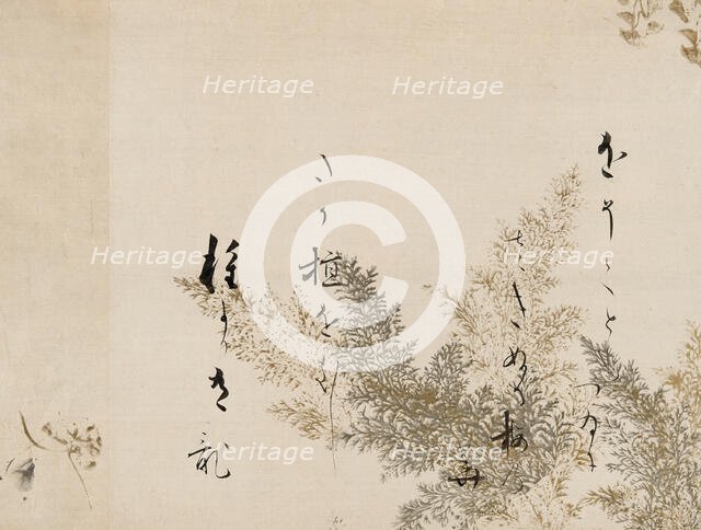 A Poem from the Shin Kokinshu with Design of Shinobugusa (Moss Fern), 1605-10. Creator: Hon'ami Kôetsu.