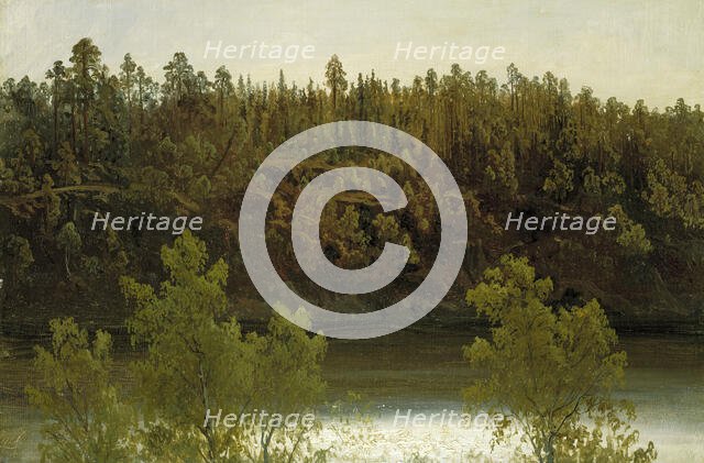 Swedish Lake. Study, 1853. Creator: Markus Larsson.