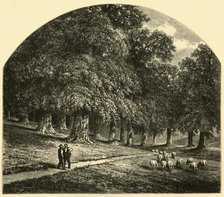 'Druid-Hill Park', 1874.  Creator: John Filmer.