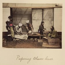 Preparing Tobacco Leaves, about 1873-1883. Creator: Shinichi Suzuki I.