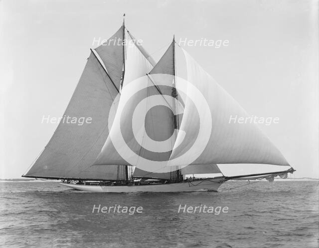 Merlin, 1892 Aug 8. Creator: Unknown.