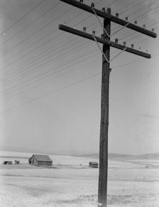 Abandoned farm in wheat country, on U.S. 97, Klickitat County, near Goldendale, Washington, 1939. Creator: Dorothea Lange.