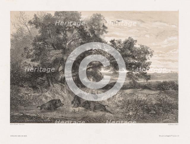 Animals and Landscape after Nature: Wild Boar in a Pond, c. 1850. Creator: Karl Bodmer (Swiss, 1809-1893).