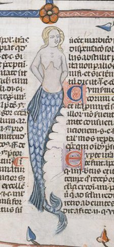 A mermaid, 1300-1340.  Creator: Unknown.