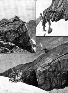 After Rocky Mountain Sheep, 1890. Creator: H. F. Davey.