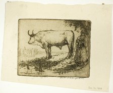 The White Ox, 1905. Creator: Donald Shaw MacLaughlan.