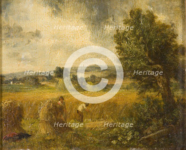 'A cornfield', 1796-1837. Artist: John Constable.