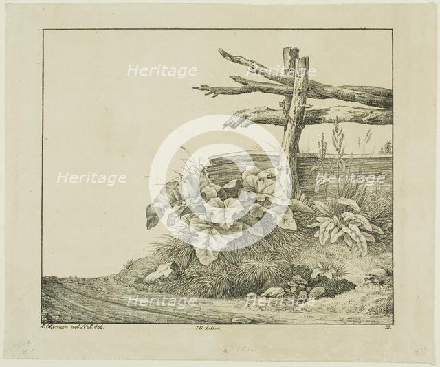 Landscape with Flora and Rustic Fence near Roadside, n.d. Creator: Lorenz Ekemann Alesson.