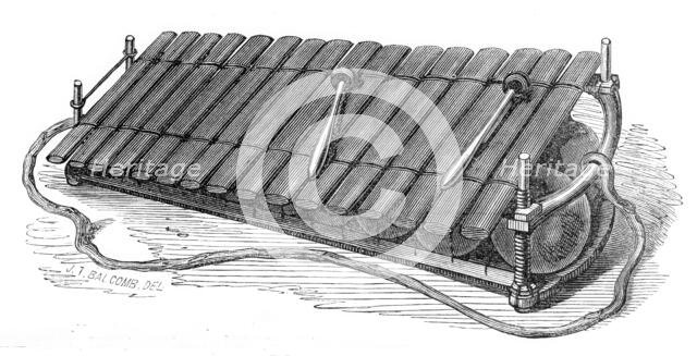 Musical Instruments in the South Kensington Museum: West African Marimba, or Balafo, 1870. Creator: Unknown.