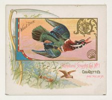 Wood Duck, from the Game Birds series (N40) for Allen & Ginter Cigarettes, 1888-90. Creator: Allen & Ginter.