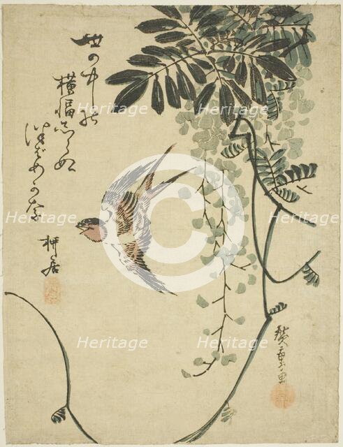 Swallow and wisteria, n.d. Creator: Ando Hiroshige.