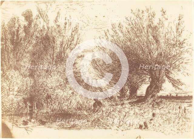 Banks of a River (Bords de Riviere), c. 1866. Creator: Paul Huet.