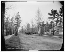 The Laurel in the Pines, Lakewood, N.J., c1901. Creator: William H. Jackson.