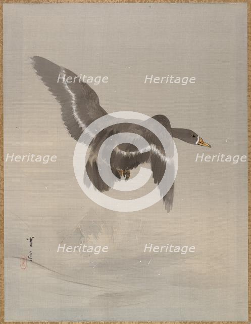 Flying Goose, ca. 1887. Creator: Watanabe Seitei.
