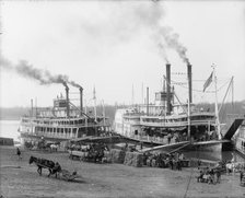A Mississippi landing, between 1900 and 1906. Creator: Unknown.
