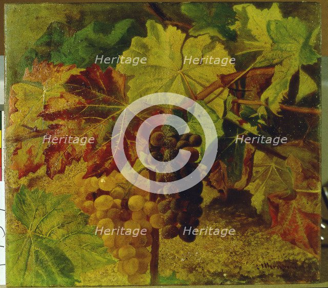  'Grapes'  by Josep Mirabent.