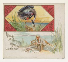 Great Blue Heron, from the Game Birds series (N40) for Allen & Ginter Cigarettes, 1888-90. Creator: Allen & Ginter.