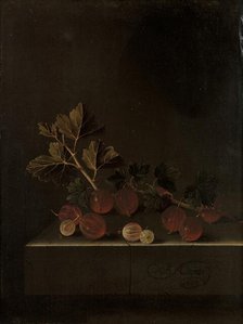A Sprig of Gooseberries on a Stone Plinth, 1699. Creator: Adriaen Coorte.