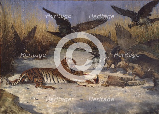 A Man-eater, 1870s-1880s. Artist: Vereshchagin, Vasili Vasilyevich (1842-1904)