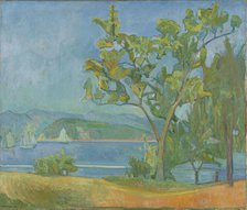 Landscape from Holmsbu, 1911. Creator: Oluf Wold-Torne.