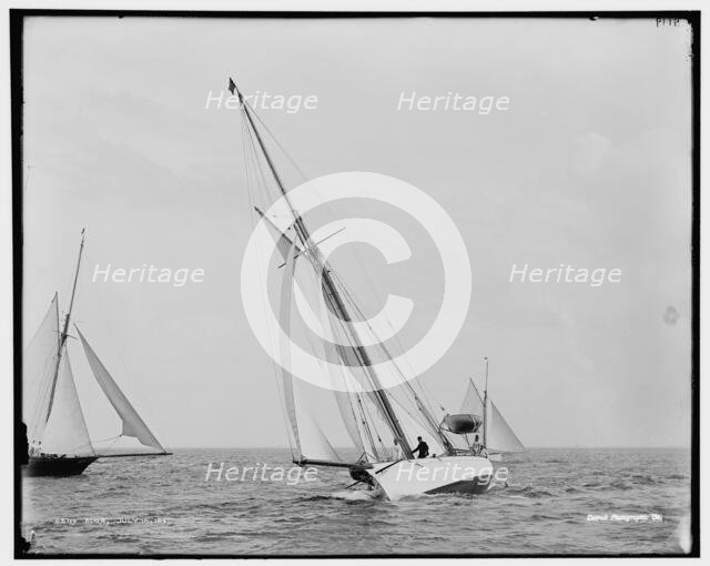 Alga, 1891 July 16. Creator: Unknown.