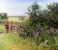 Man standing near fence and bushes, 1909. Creator: Sergey Mikhaylovich Prokudin-Gorsky.