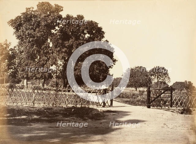 View of Garden, 1850s. Creator: Unknown.