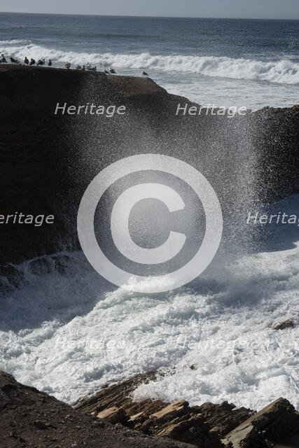 Montana de Oro, San Luis Obispo, California, USA, 2022. Creator: Ethel Davies.