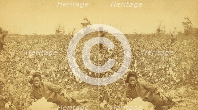 Plantation Scene. Picking cotton. [Woman resting in the field], (1868-1900?). Creator: O. Pierre Havens.