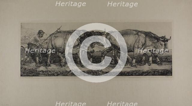 Plowing Oxen, n.d. Creator: Pieter Dupont.