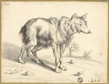 Wolf, 1655. Creator: Jan van Os.