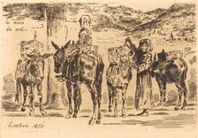 Feuilles d'Anes du Midi, 1873. Creator: Felix Hilaire Buhot.