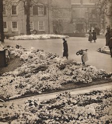 'The State Funeral of King George V at Windsor: memorial wreaths', 1936. Artist: Unknown.