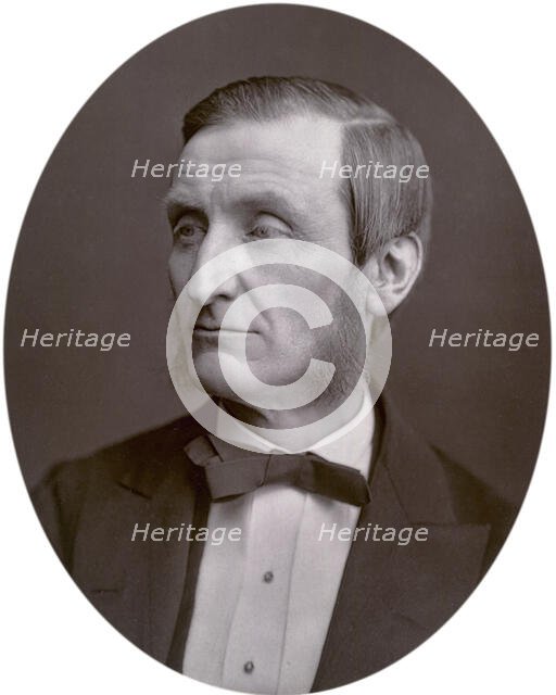 John Hall Gladstone, President of the Chemical Society, 1880. Creator: Lock & Whitfield.