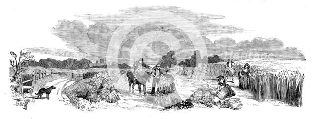 Harvest Operations - Reaping, 1858. Creator: Unknown.