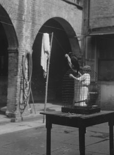 Woman working in a courtyard, New Orleans, between 1920 and 1926. Creator: Arnold Genthe.