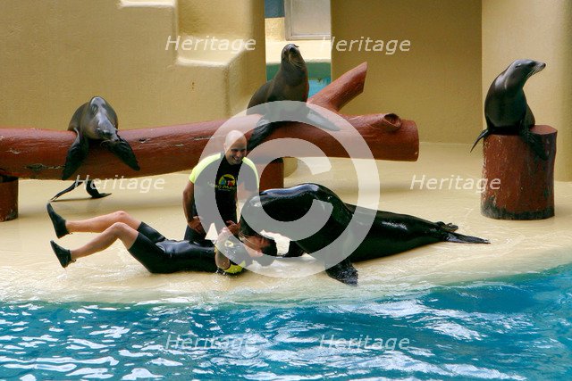 Sea lion show, Loro Parque, Tenerife, Canary Islands, 2007.
