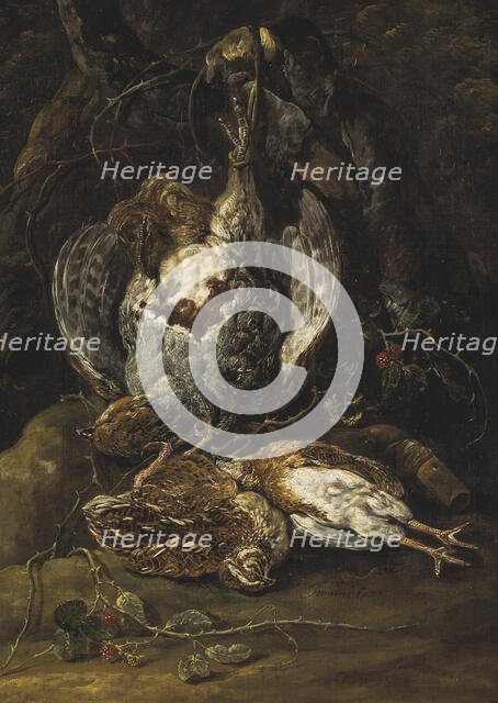 Still Life with Quails and a Partridge. Creator: Jan Fyt.