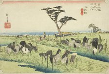 Chiryu: Early Summer Horse Market (Chiryu, shuka uma ichi), from the series "Fifty..., c. 1833/34. Creator: Ando Hiroshige.