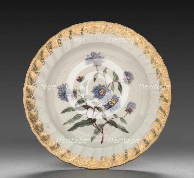 Plate from Dessert Service: Tall Blue Aster, c. 1800. Creator: Derby (Crown Derby Period) (British).