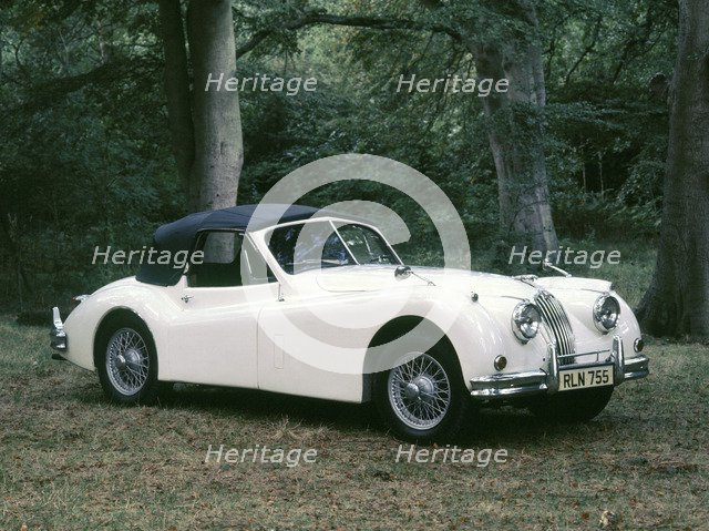 1954 Jaguar XK140 DHC Artist: Unknown.