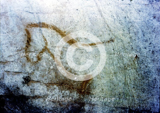 Horse in La Pileta Cave (Málaga), it's only shown the front of the animal, by the solid line prof…