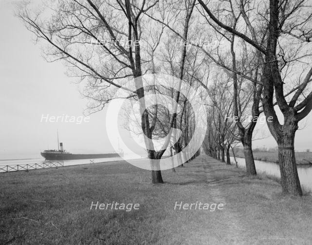 Willow Avenue, Star Island, Ste. Claire [sic] Flats, Mich., c.between 1910 and 1920. Creator: Unknown.