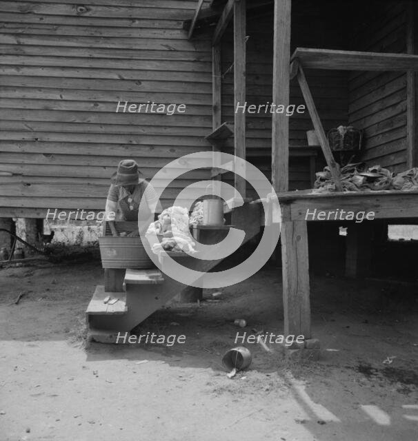 Washing facilities on a Greene County, Georgia, tenant farm, 1937. Creator: Dorothea Lange.