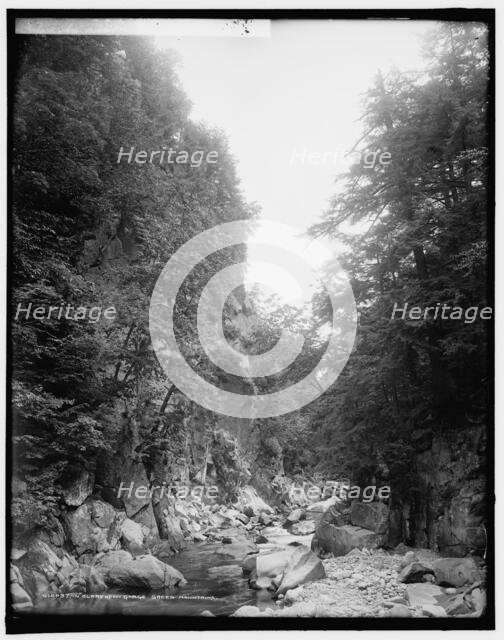 In Clarendon Gorge, Green Mountains, between 1900 and 1906. Creator: Unknown.